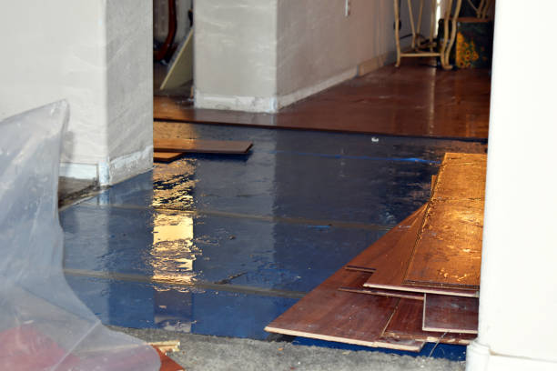 Professional Emergency Water Damage Restoration technician working in Maywood, NJ